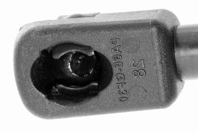 GASFEDER KOFFER-/LADERAUM VAICO V250876 2