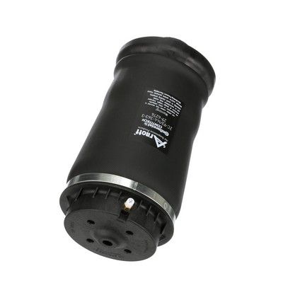 ARC PNEUMATIC DIRECTIE Arnott A2596 60