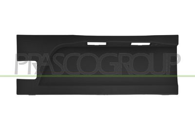 ELEMENTE DECORATIVE/PROTECTIE PORTIERA