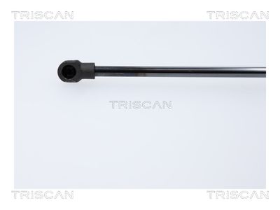 AMORTIZOR PORTBAGAJ TRISCAN 871018247 2