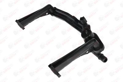 FLANSA LICHID RACIRE BIRTH 81126 9