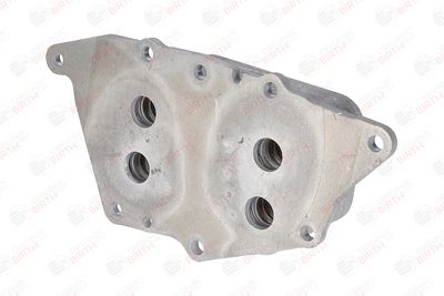 RADIATOR ULEI ULEI MOTOR BIRTH 80737 8