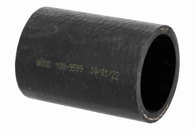 FURTUN EAR SUPRAALIMENTARE ACKOJA A389599 3