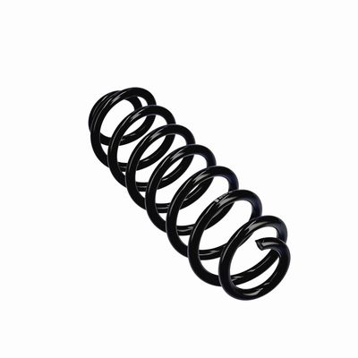 ARC SPIRAL EIBACH R21213 23