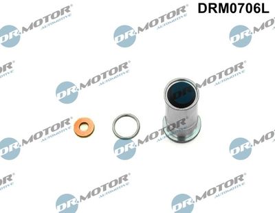 Repair Kit, injection nozzle DRM0706L