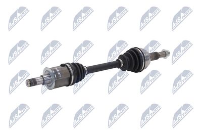 PLANETARA NTY NPWCH161 3