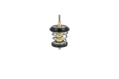 TERMOSTAT LICHID RACIRE NRF 725250 15