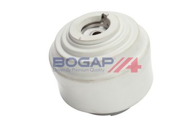 BOGAP Variklio montavimas