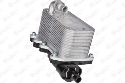 RADIATOR ULEI ULEI MOTOR BIRTH 80111 9