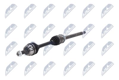 PLANETARA NTY NPWFT045 18