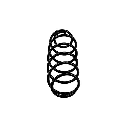 ARC SPIRAL EIBACH R10034 13