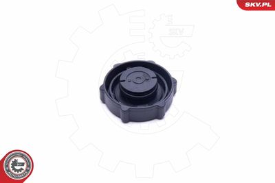 Seal Ring, power steering pump blanking plug 61SKV029