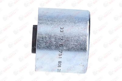 RULMENT DIFERENTIAL BIRTH 20031 10