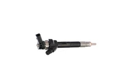 INJECTOR REMANTE 002003001754R 36