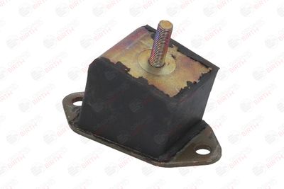 SUPORT MOTOR BIRTH 5224 8