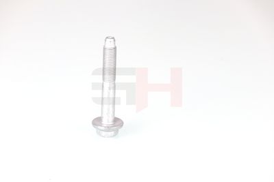 SURUB CAPAT DE AX GH GH392528 47