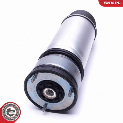 BRAT ARC PNEUMATIC ESEN SKV 58SKV063 1