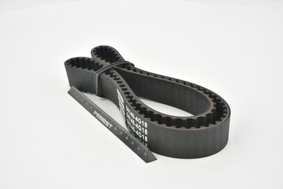 CUREA DE DISTRIBUTIE FEBEST 041404G18 10