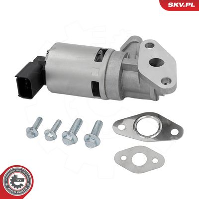 AGR-Ventil ESEN SKV 14SKV348