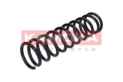 Suspension Spring 2120003