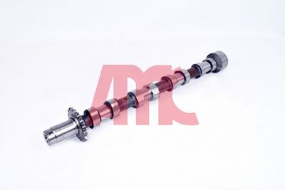 NOCKENWELLE AMC 647146 1