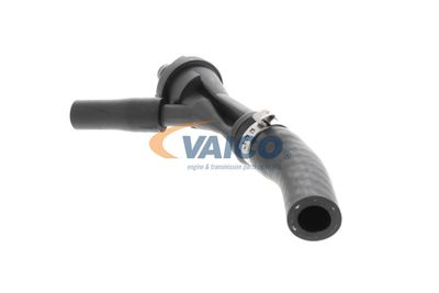 VENTIL LUFTSTEUERUNG-ANSAUGLUFT VAICO V203584 18