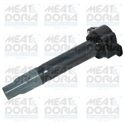 Ignition Coil 10624