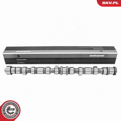 AX CU CAME ESEN SKV 80SKV047