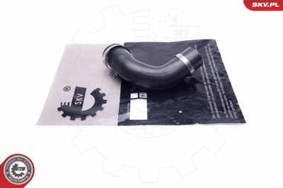 FURTUN EAR SUPRAALIMENTARE