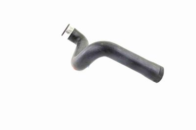 FURTUN EAR SUPRAALIMENTARE VAICO V401358 6