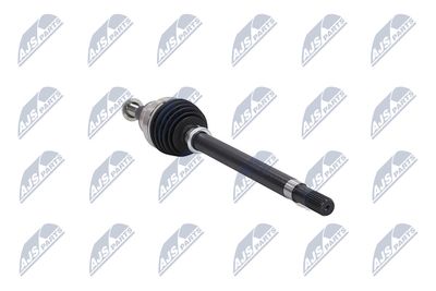 PLANETARA NTY NPWCH154 13