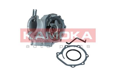 Water Pump, engine cooling T0260