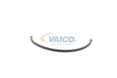 FURTUN FRANA VAICO V309926 36