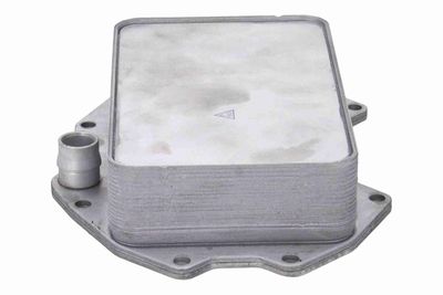 RADIATOR ULEI ULEI MOTOR VEMO V15606083 6