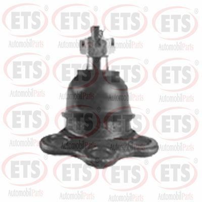 Шарнири ETS 55.BJ.854
