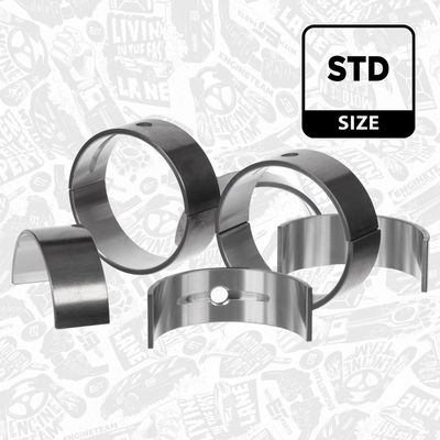 SET RULEMT ARBORE COTIT ET ENGINETEAM LH007800 1