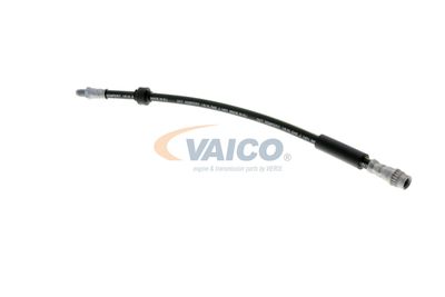 FURTUN FRANA VAICO V461009 15