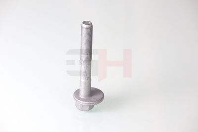 SURUB CORECTARE INCLINARE