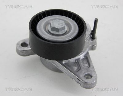 Натяжитель ремня, клиновой зубча TRISCAN 8641 293048 для VW T-ROC