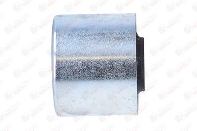 RULMENT DIFERENTIAL BIRTH 20031 4