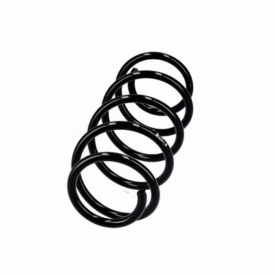 ARC SPIRAL EIBACH R10341 2