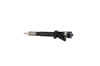 INJECTOR REMANTE 002003000015R 13