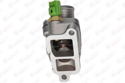 FLANSA LICHID RACIRE BIRTH 81766 7