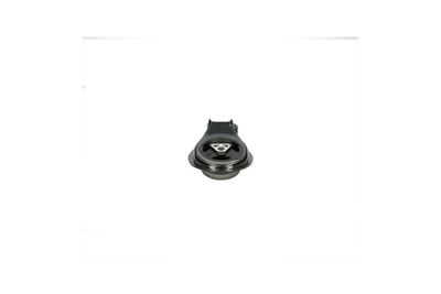 окачване, двигател Kavo Parts EEM-8609