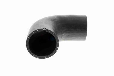 LADELUFTSCHLAUCH VAICO V420565 1