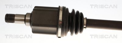 PLANETARA TRISCAN 8540295069 1