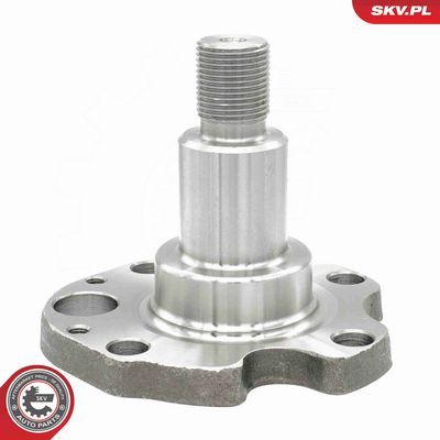 SET RULMENT ROATA ESEN SKV 29SKV994 5