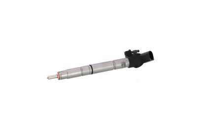 INJECTOR REMANTE 002003002365R 8