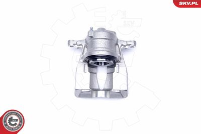 Brake Caliper 42SKV231