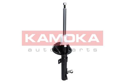 Shock Absorber 2000134